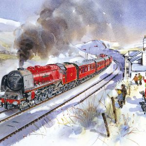 Duchess on Shap. By David Charlesworth